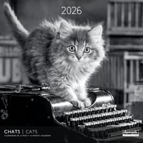 Calendrier 2026 Pictura - Chats noir et blanc - 30 x 30 cm