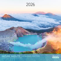 Calendrier mural 2026 Pictura - Nature insolite - 30 x 30 cm