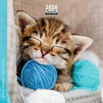 Calendrier mural 2026 Pictura - Chatons - 16 x 16 cm