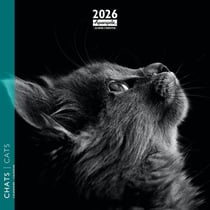 Calendrier 2026 Pictura - Chats noir et blanc - 16 x 16 cm