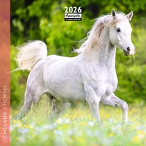 Calendrier 2026 Pictura - Falaises - 16 x 16 cm