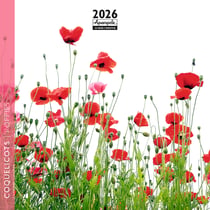 Calendrier mural 2026 Pictura - Coquelicots - 16 x 16 cm