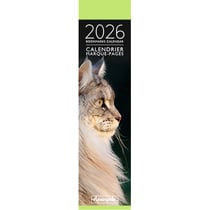Calendrier marque-pages 2026 Pictura - Photo Chat