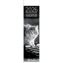 Calendrier marque-pages 2026 Pictura - Chat noir et blanc