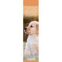 Calendrier marque-pages 2026 Pictura - Photo chiots