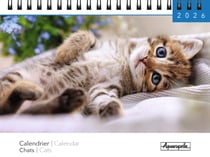 Calendrier chevalet 2026 Pictura - Chats