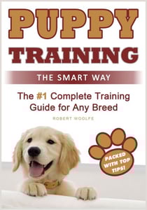 Puppy Training: The Smart Way - Dog Training