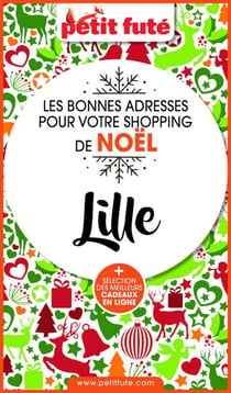 SHOPPING DE NOËL À LILLE 2020 Petit Futé