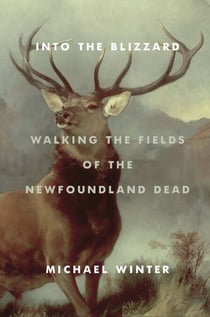 Into the Blizzard - Walking the Fields of the Newfoundland Dead