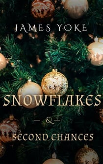 Snowflakes & Second Chances