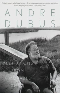 Meditations from a Movable Chair - Essays