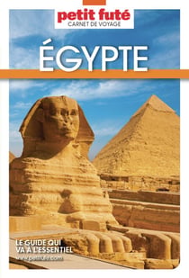 EGYPTE 2025 Carnet Petit Futé