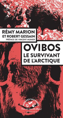 Ovibos - le survivant de l'Arctique