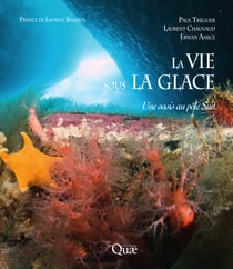 La vie sous la glace - Une oasis au pôle Sud