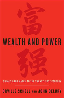 Wealth and Power - China's Long March to the Twenty-first Century