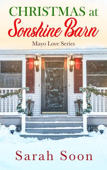 Christmas at Sonshine Barn - Mayo Love, #1