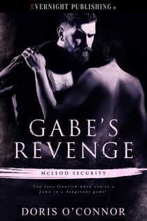 Gabe's Revenge - McLeod Security, #2