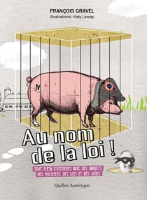 Au nom de la loi - Tout plein d’histoires avec des bandits, des policiers, des lois et des juges