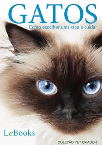 Gatos - Como escolher uma raça e cuidar