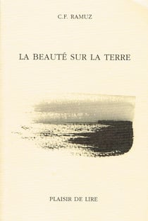 La beauté sur la Terre - Un roman tragique