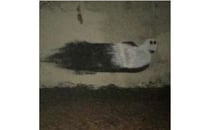 The Ghost