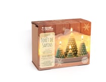 Kit bougies Graine Créative - Forêt de sapins