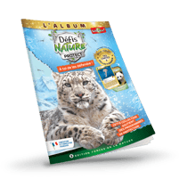 Album de classement - Couverture Panthère des neiges - Bioviva