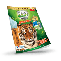 Album de rangement Tigre du Bengale - Bioviva