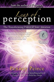 Leap of Perception - The Transforming Power of Your Attention