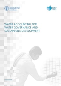 Water Accounting for Water Governance and Sustainable Development: White Paper