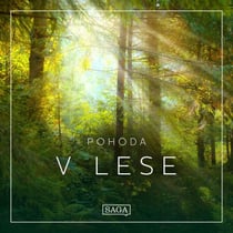 Pohoda – V lese
