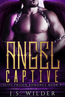 Angel Captive - SciFi Prison Romance, #3