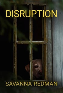 Disruption - Amanda J. Wilde, #0.5
