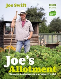 Joe's Allotment - Planning and planting a productive plot