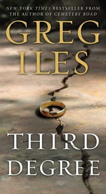 Third Degree - A Novel