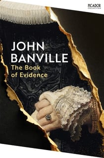 The Book of Evidence - Picador Classic