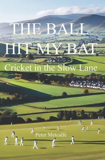 The Ball Hit My Bat