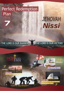 Perfect Redemption Plan 7 - Perfect Redemption Plan, #7