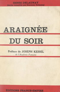 Araignée du soir