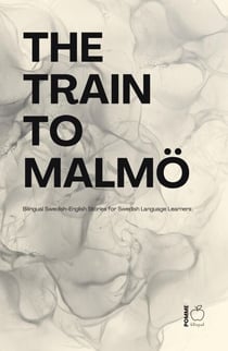 The Train to Malmö:  Bilingual Swedish-English Stories for Swedish Language Learners