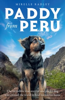 Paddy from Peru - The incredible true story of one plucky dog who crossed the world to find his forever home