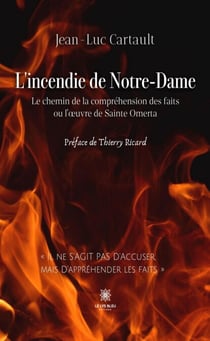 L’incendie de Notre-Dame - Le chemin de la compréhension des faits ou l’œuvre de Sainte Omerta