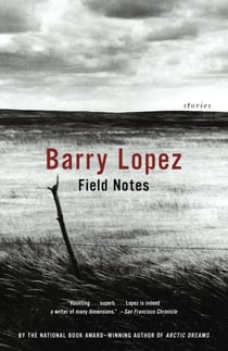 Field Notes - The Grace Note of the Canyon Wren