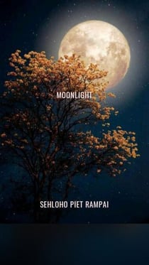 Moonlight - African Poetry, #1