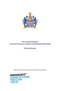 The Accidental Mayor