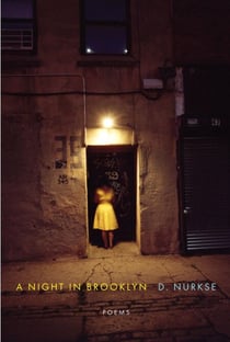 A Night in Brooklyn - Poems