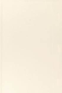 L'épopée du corps-franc Pommiès : des Pyrénées à Berlin