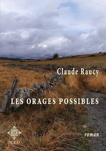 Les orages possibles