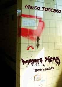 Dummes Zeug & Besinnliches - Kurzgeschichten und "Dachbodenfunde"