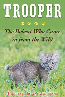 Trooper - The Bobcat Who Came in from the Wild